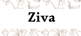 ziva - Home